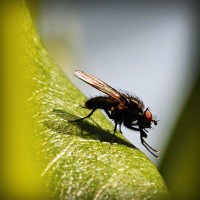 /album/mani-di-massaggiatore/photolia-a04-jpg/