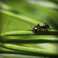 /album/mani-di-massaggiatore/photolia-a05-jpg/