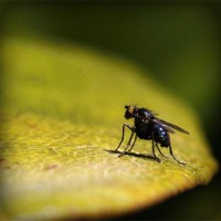 /album/mani-di-massaggiatore/photolia-a07-jpg/