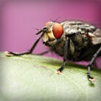 /album/mani-di-massaggiatore/photolia-a08-jpg/
